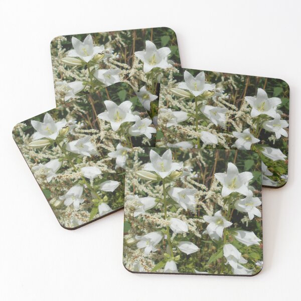 Item preview, White Bellflowers  designed and sold by Floral-Art.