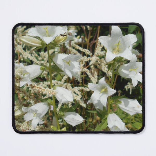 Item preview, White Bellflowers designed and sold by Floral-Art.