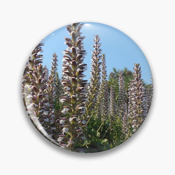 Item preview, Acanthus plants (Bears Breeches) designed and sold by Floral-Art.