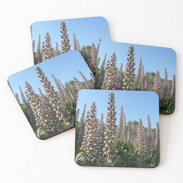 Item preview, Acanthus plants (Bears Breeches) designed and sold by Floral-Art.