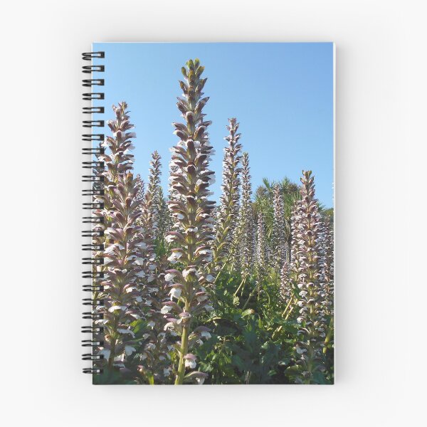 Item preview, Acanthus plants (Bears Breeches) designed and sold by Floral-Art.