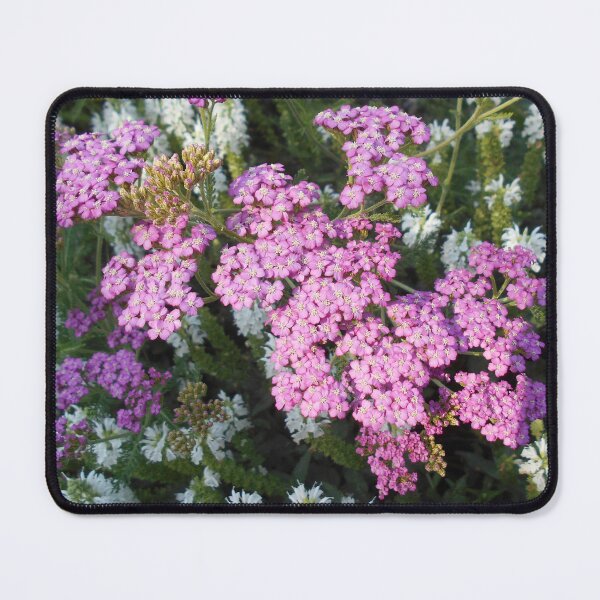 Item preview, Pink and White Garden designed and sold by Floral-Art.