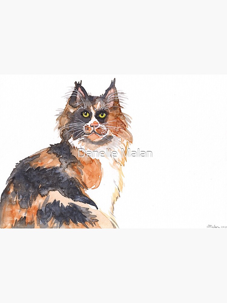Calico Maine Coon Art Board Print By Dwuff Redbubble