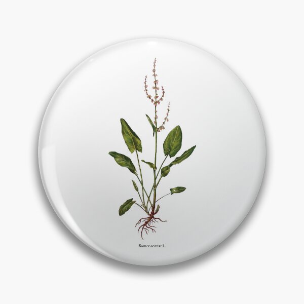 Item preview, Sorrel designed and sold by Shirts4Locals.