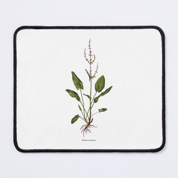 Item preview, Sorrel designed and sold by Shirts4Locals.