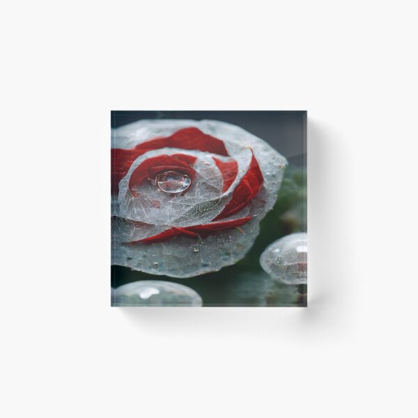 Item preview, Red And White Rose With Raindrops, Macro Background, Close-up designed and sold by Unwind-Art-Work.
