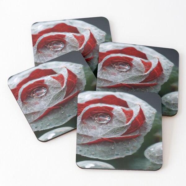 Item preview, Red And White Rose With Raindrops, Macro Background, Close-up designed and sold by Unwind-Art-Work.