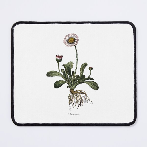 Item preview, Daisy designed and sold by Shirts4Locals.