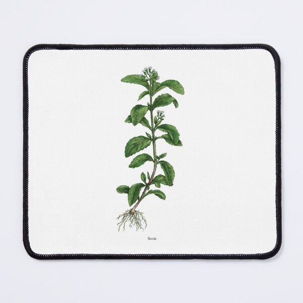 Item preview, Stevia designed and sold by Shirts4Locals.