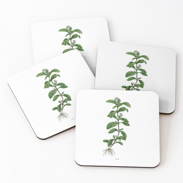 Item preview, Stevia designed and sold by Shirts4Locals.
