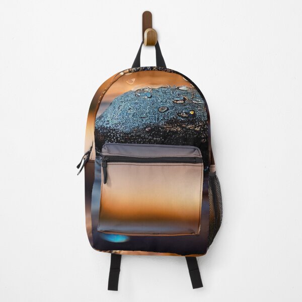 Artikelvorschau, Felsen im Wasser mit Regentropfen, im Sonnenuntergang, Makrohintergrund, Nahaufnahme entworfen und verkauft von Unwind-Art-Work.