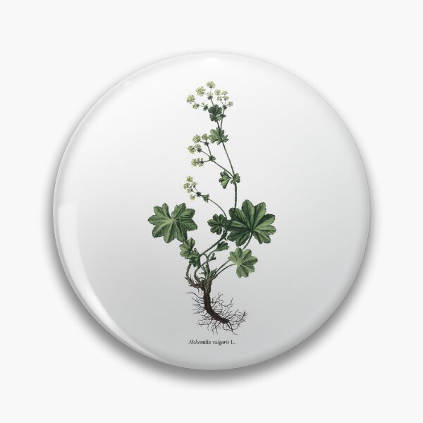 Item preview, Lady's mantle designed and sold by Shirts4Locals.