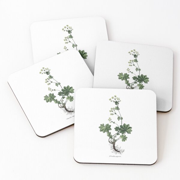 Item preview, Lady's mantle designed and sold by Shirts4Locals.