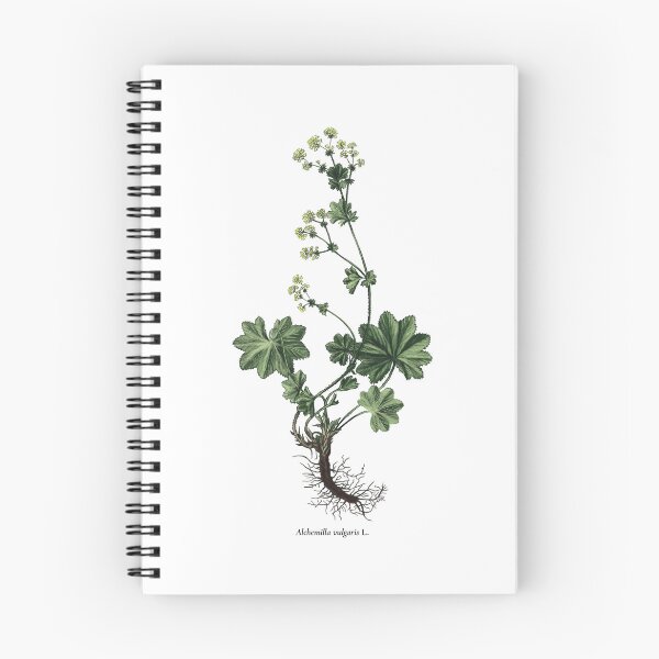 Item preview, Lady's mantle designed and sold by Shirts4Locals.