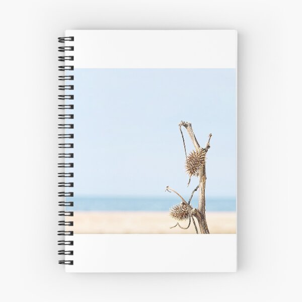 Item preview, Dried Burdock branch on sandy desert and coastline background. designed and sold by IaroslavB.