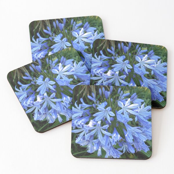 Item preview, Agapanthus pale blue designed and sold by Floral-Art.