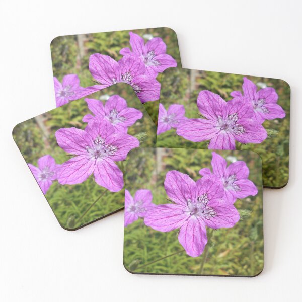 Artikelvorschau, Erodium manescavii Blumen entworfen und verkauft von Floral-Art.