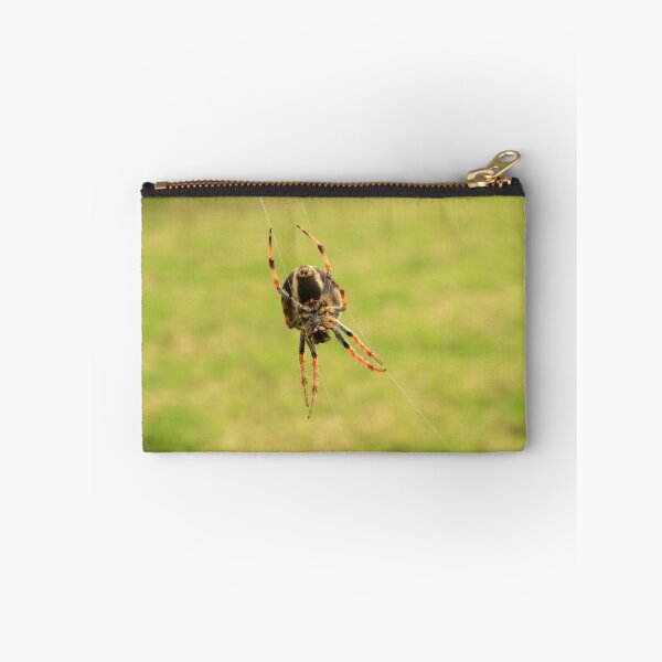 Item preview, Orb Weaver Spider on Web designed and sold by rhamm.