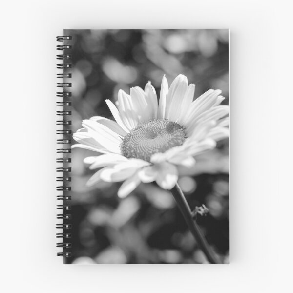 Item preview, Elegant Daisy Flower In Black And White designed and sold by DEC02.
