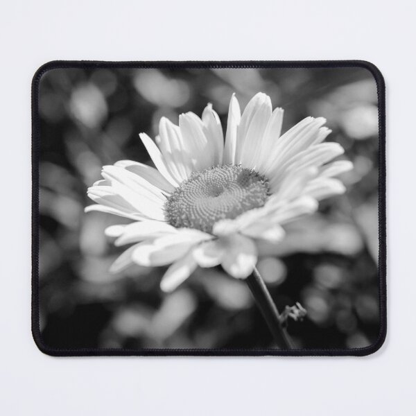 Item preview, Elegant Daisy Flower In Black And White designed and sold by DEC02.