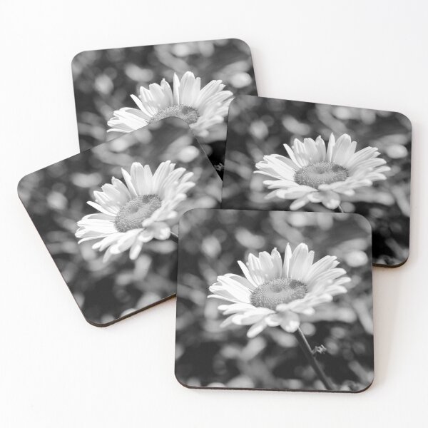 Item preview, Elegant Daisy Flower In Black And White designed and sold by DEC02.