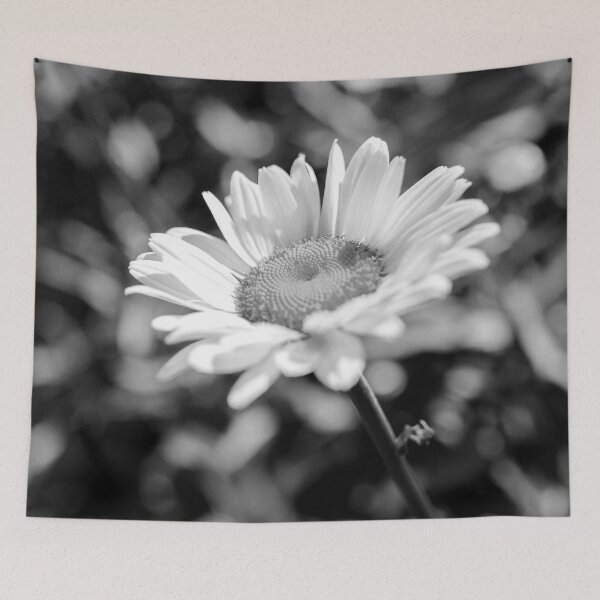 Item preview, Elegant Daisy Flower In Black And White designed and sold by DEC02.