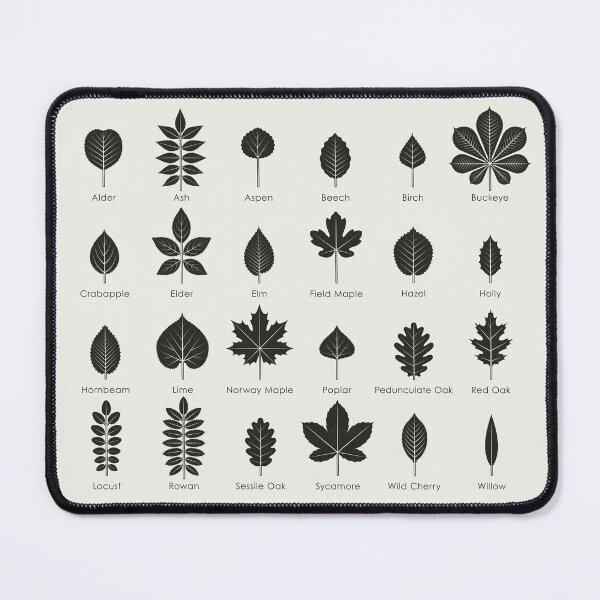 Item preview, Tree Leaves or Leaf Shapes Identification ID Chart designed and sold by Iris Luckhaus.