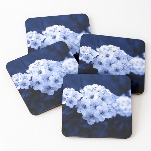 Item preview, White flowers designed and sold by Gaspar Avila.