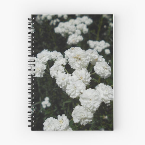 Item preview, White Achillea ptarmica Flowers designed and sold by Floral-Art.