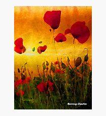 Poppy Sunset (3929 views as of 031718) Photographic Print