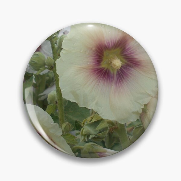 Item preview, Pale Apricot Hollyhocks (althaea rosea) designed and sold by Floral-Art.