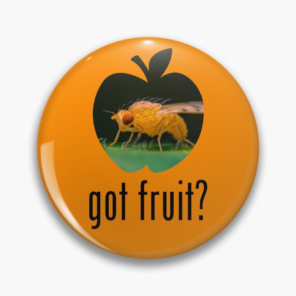 Item preview, Fruit Fly - Got Fruit? Concept designed and sold by AronsTinySafari.