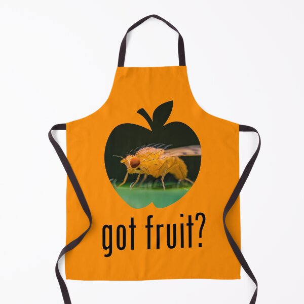 Item preview, Fruit Fly - Got Fruit? Concept designed and sold by AronsTinySafari.