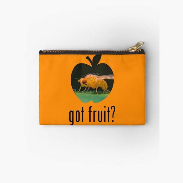 Item preview, Fruit Fly - Got Fruit? Concept designed and sold by AronsTinySafari.