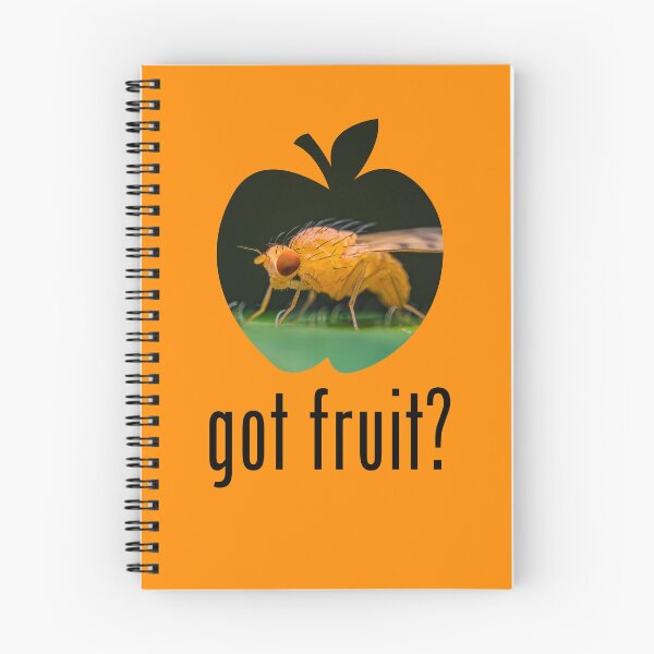 Item preview, Fruit Fly - Got Fruit? Concept designed and sold by AronsTinySafari.