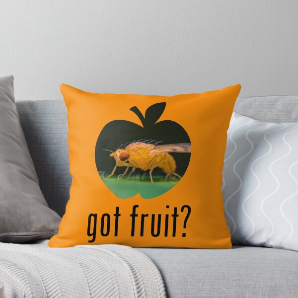 Item preview, Fruit Fly - Got Fruit? Concept designed and sold by AronsTinySafari.