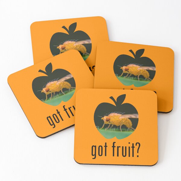 Item preview, Fruit Fly - Got Fruit? Concept designed and sold by AronsTinySafari.