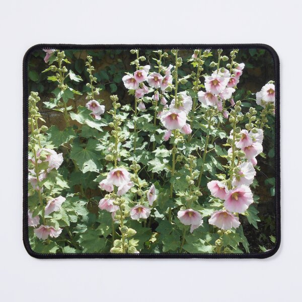 Item preview, Pink Hollyhocks designed and sold by Floral-Art.
