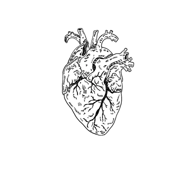 Artwork thumbnail, Heart by Childish by Design