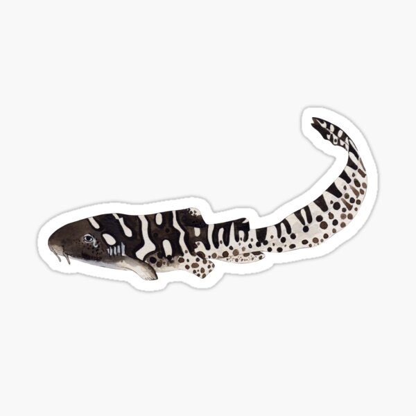 Item preview, BABY ZEBRA SHARK designed and sold by BEATRIZ ABAITUA.