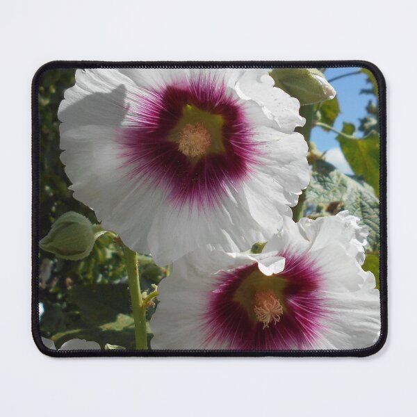 Item preview, Halo White Hollyhock designed and sold by Floral-Art.