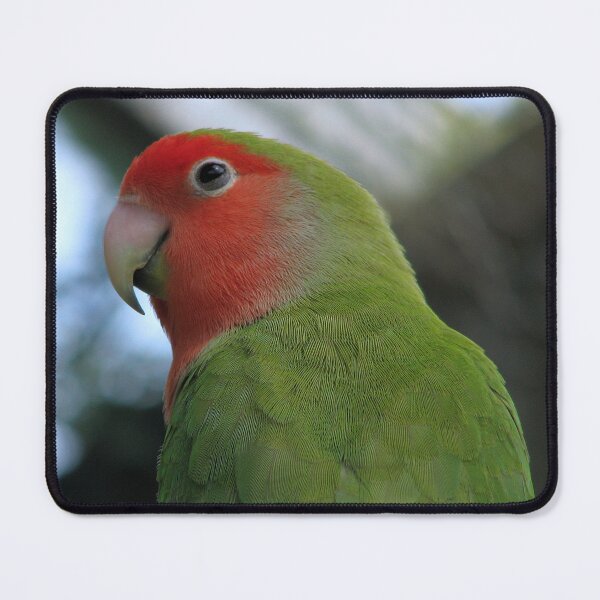 Item preview, Peach faced Love Bird designed and sold by Sharon Perrett.