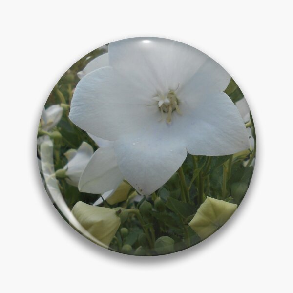 Item preview, Balloon Flower designed and sold by Floral-Art.
