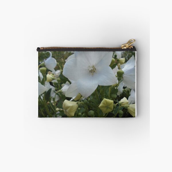 Item preview, Balloon Flower designed and sold by Floral-Art.