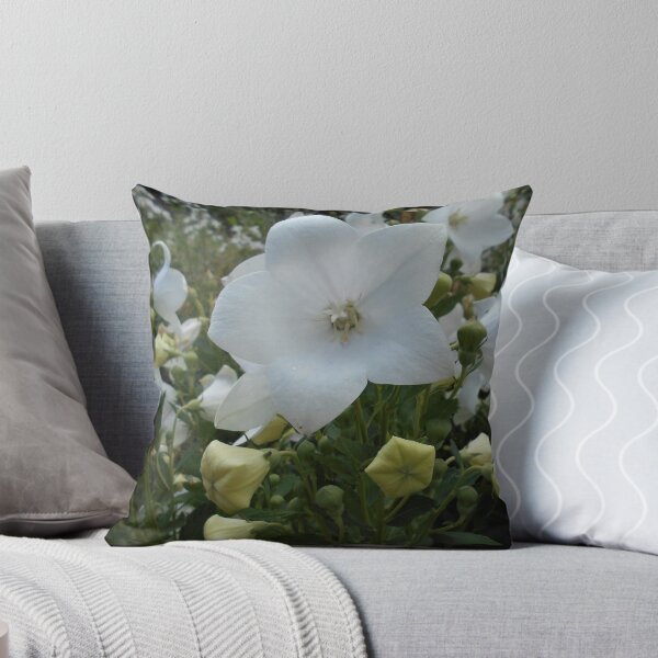 Item preview, Balloon Flower designed and sold by Floral-Art.
