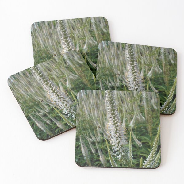 Item preview, White Veronicastrum Flowers designed and sold by Floral-Art.