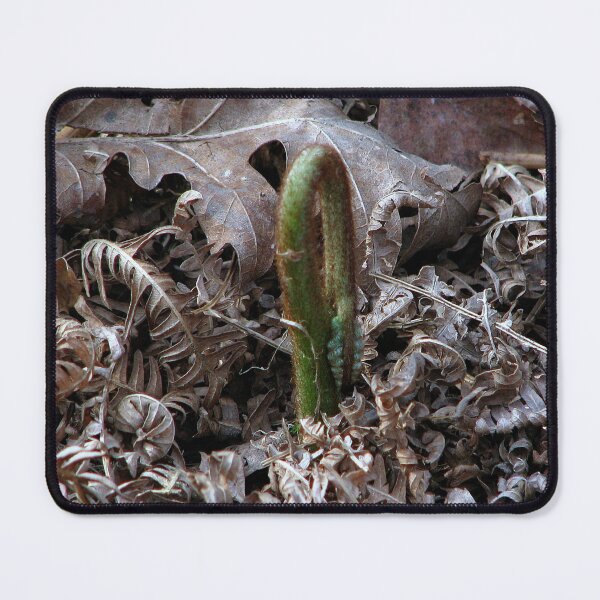 Item preview, The Awakening designed and sold by Sharon Perrett.