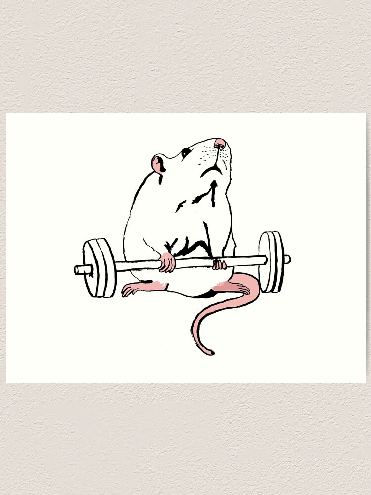 Deadlift Rat Sticker for Sale by teaandink