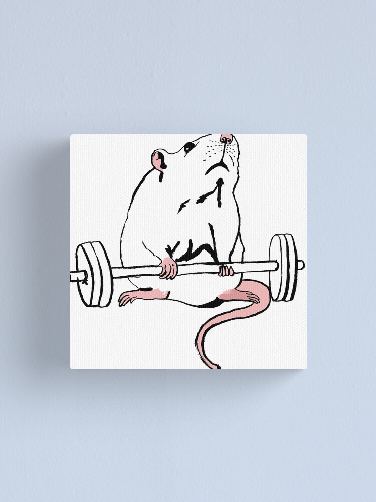 Deadlift Rat Sticker for Sale by teaandink