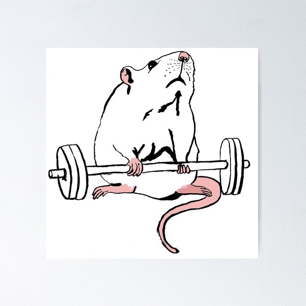 Deadlift Rat Sticker for Sale by teaandink